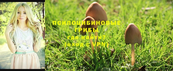 мескалин Волоколамск