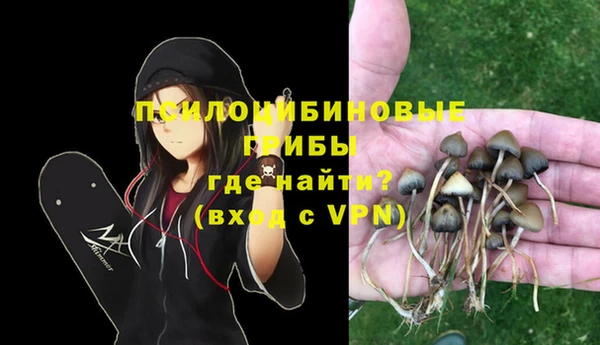 гидра Волосово